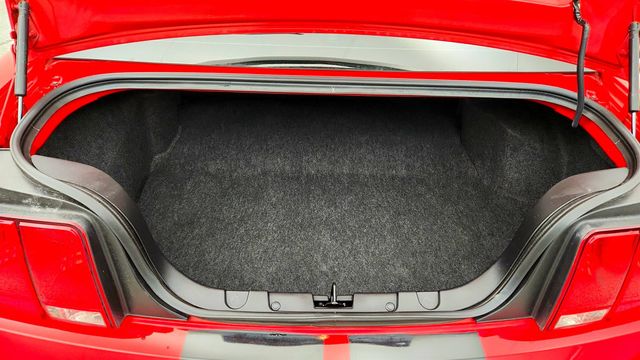 2009 Ford Mustang 2dr Coupe GT Deluxe w/ Lthr Sport Bucket Seats & Appearance Pkg - 23030393 - 20