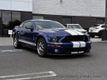 2009 Ford Mustang 2dr Coupe Shelby GT500 - 22496876 - 8