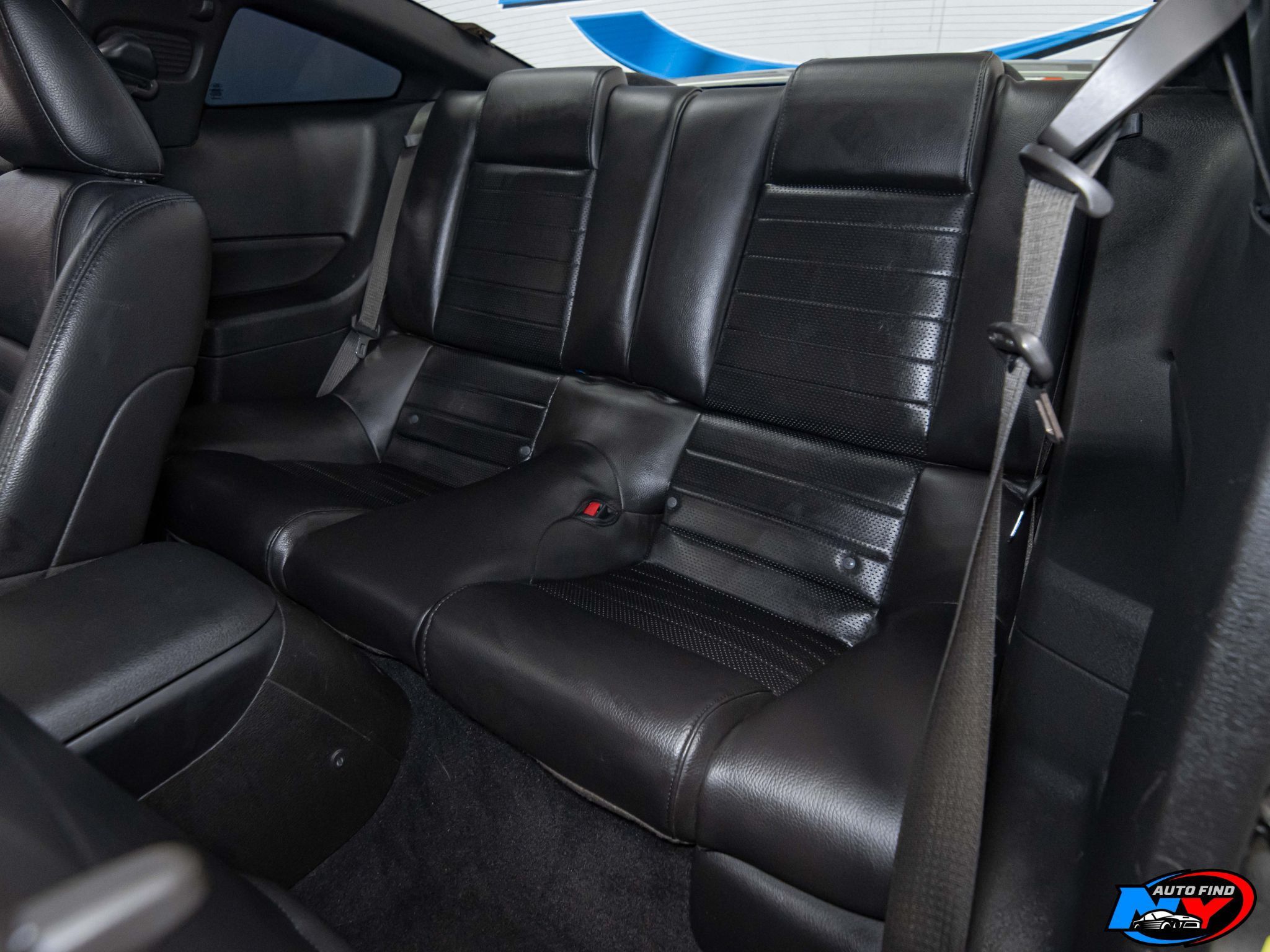 2009 Ford Mustang GT Premium photo 9