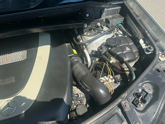 View 61