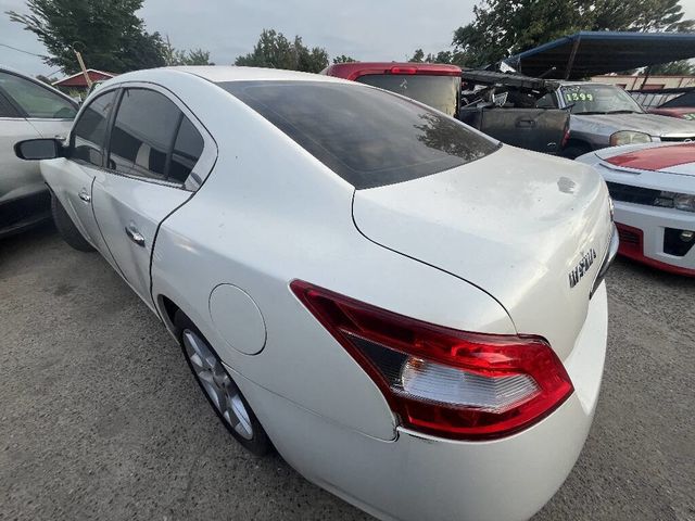 2009 Nissan Maxima  - 22948527 - 1