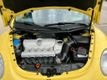 2009 Volkswagen New Beetle Coupe 2dr Automatic S - 23036044 - 8
