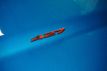 2010 Chevrolet Corvette *Z06* *Jetstream Blue* *6-Speed Manual* *Rare Spec* - 23038895 - 62