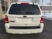 2010 Ford Escape 4WD 4dr XLT - 22956554 - 4