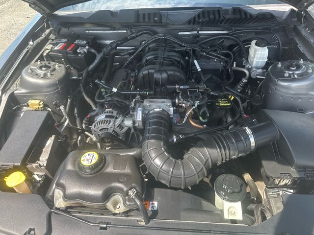 2010 Ford Mustang 2dr Convertible V6 - 23010590 - 15