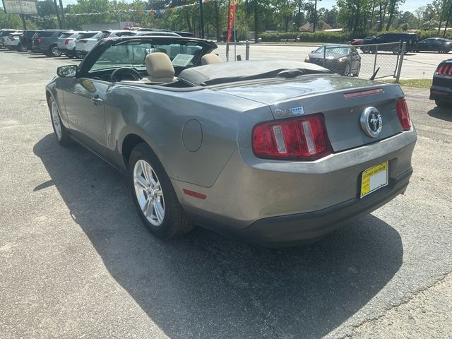 2010 Ford Mustang 2dr Convertible V6 - 23010590 - 2