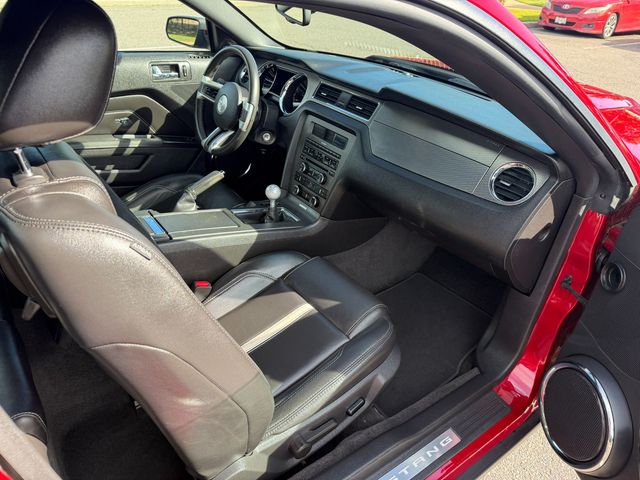 2010 Ford Mustang PREMIUM GT, ONE OWNER, 5-SPD MANUAL, TRACKPACK, HEATED SEATS - 23091976 - 9