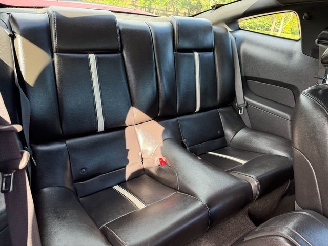 2010 Ford Mustang PREMIUM GT, ONE OWNER, 5-SPD MANUAL, TRACKPACK, HEATED SEATS - 23091976 - 13