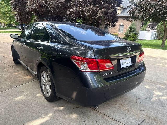 2010 Lexus ES 350 4dr Sedan - 23047086 - 3
