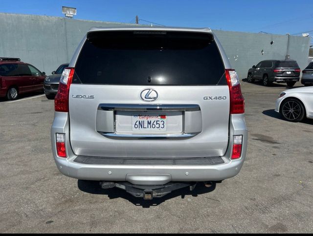 2010 Lexus GX  - 23076162 - 3