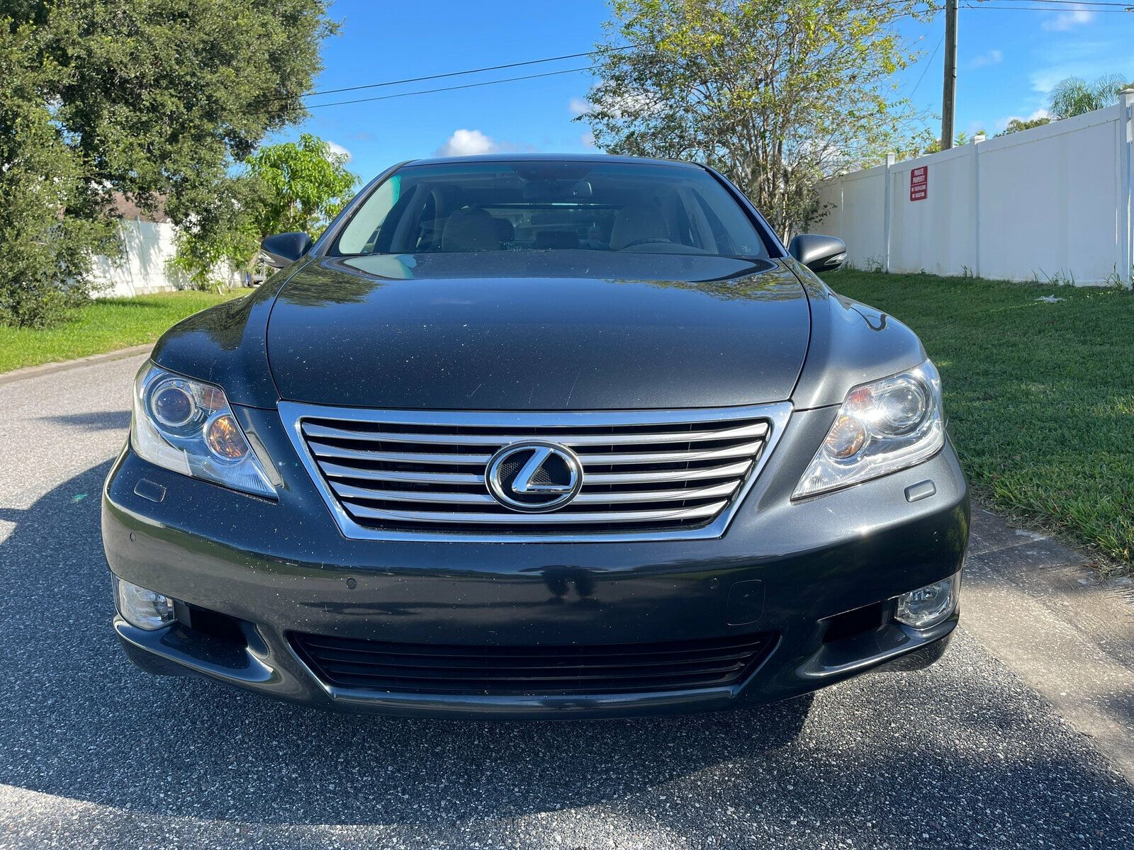 2010 Lexus LS 460 photo 5