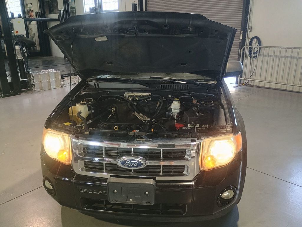2011 Ford Escape FWD 4dr XLT Clean Carfax Florida SUV - 22947395 - 51