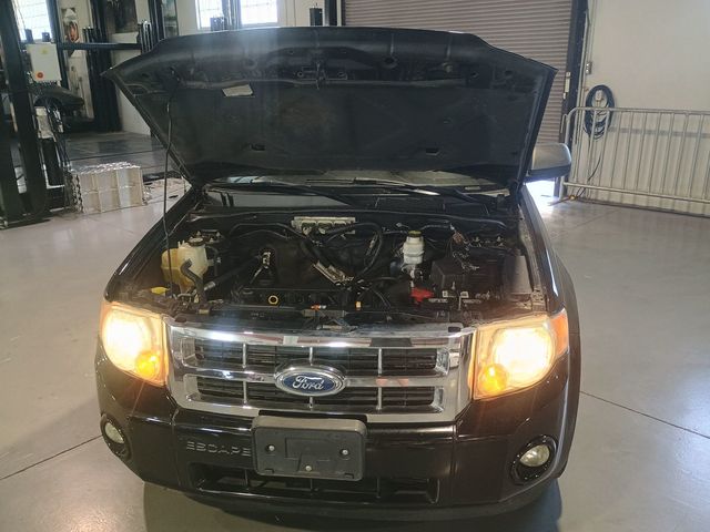 2011 Ford Escape FWD 4dr XLT Clean Carfax Florida SUV - 22947395 - 51