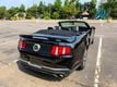2011 Ford Mustang CALIFORNIA SPECIAL, GT PREMIUM, CONVERTIBLE, 6-SPD MANUAL - 23041183 - 31