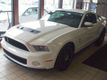 2011 Ford Mustang Shelby GT500-500+ HP Solo 12,000 Millas y Unico Dueno - 20592261 - 19