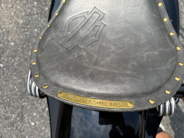 2011 Harley-Davidson 48  - 22893750 - 22