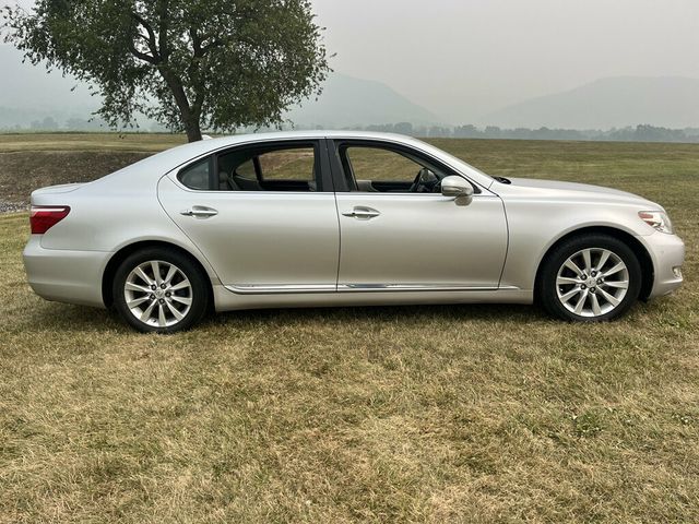 2011 Lexus LS 460 LS 460L AWD  - 23055614 - 1