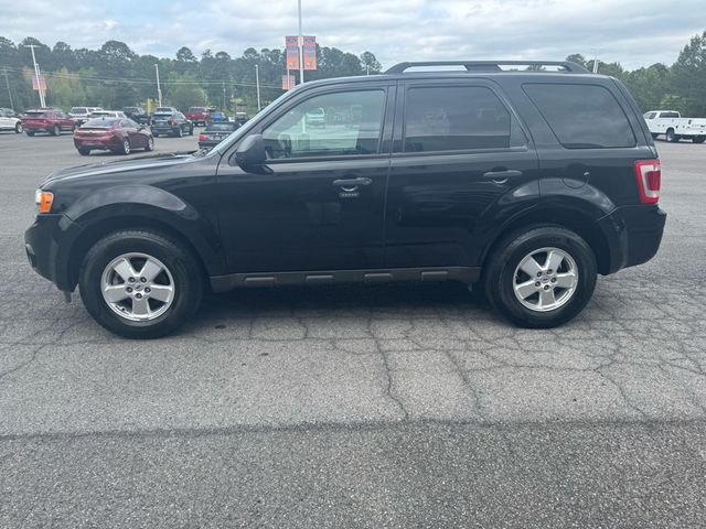 2012 Ford Escape XLT - 23017046 - 4