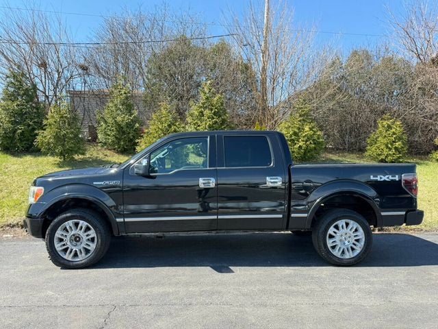 2012 Ford F-150 4WD SuperCrew 145" Platinum - 22981132 - 2