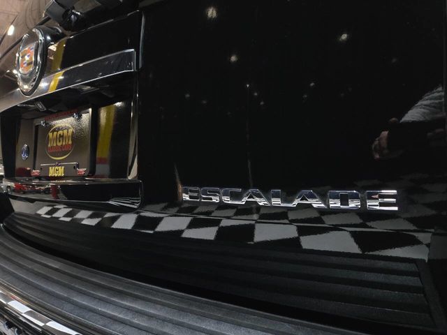 2013 Cadillac Escalade AWD 4dr Premium - 22974818 - 33