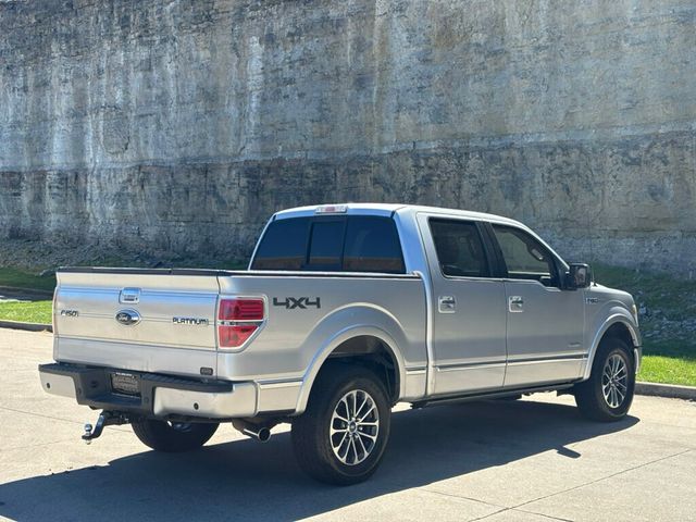 2013 Ford F-150 2013 Ford F-150 Platinum - 23005387 - 3