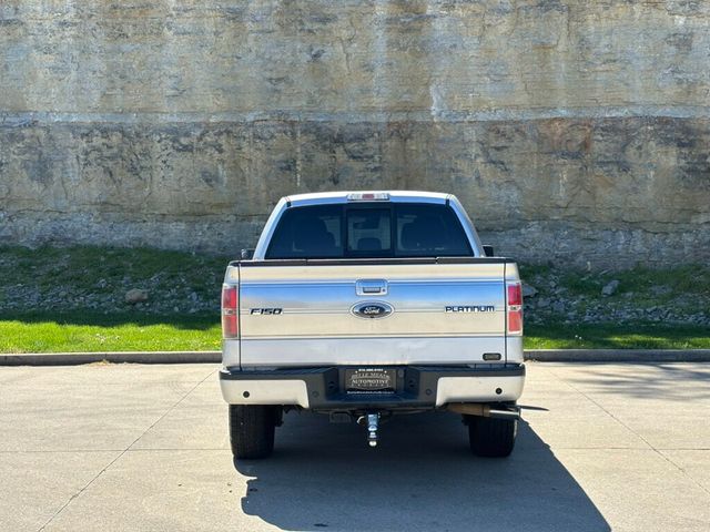 2013 Ford F-150 2013 Ford F-150 Platinum - 23005387 - 5