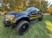 2013 Ford F-150 4WD SuperCrew 145" SVT Raptor - 22647551 - 1