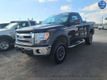 2013 Ford F-150 XLT - 22916305 - 0