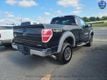 2013 Ford F-150 XLT - 22916305 - 3