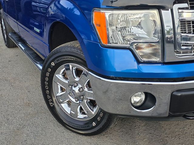 2013 Ford F-150 XLT - 22963460 - 2