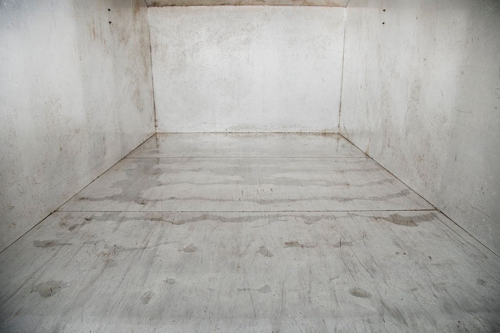 2013 Ford Super Duty F-450 DRW Cab-Chassis F450 REG CAB - 15742320 - 5