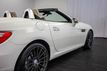 2013 Mercedes-Benz SLK SLK250 - 22975886 - 26