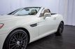2013 Mercedes-Benz SLK SLK250 - 22975886 - 28