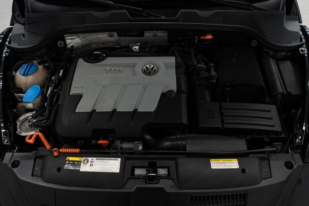Volkswagen Beetle photo 28