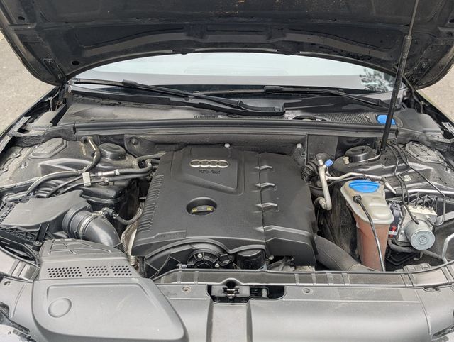 2014 Audi A5 Cabriolet 2dr Cabriolet Auto quattro 2.0T Premium Plus - 22992837 - 19