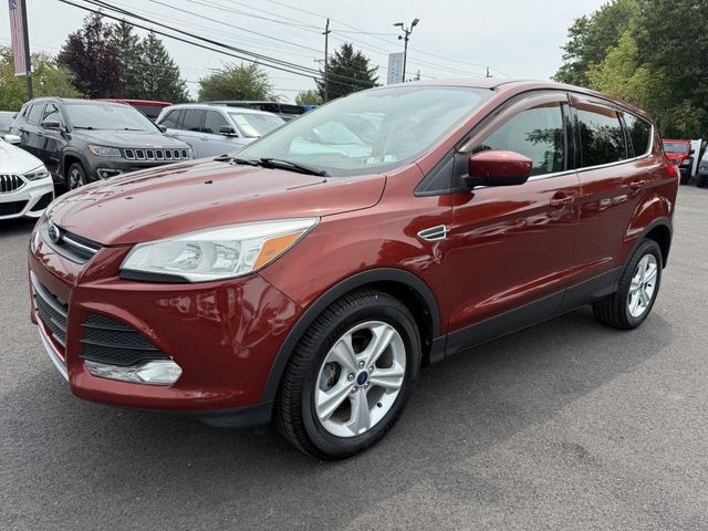 2014 Ford Escape FWD 4dr SE - 23067064 - 5