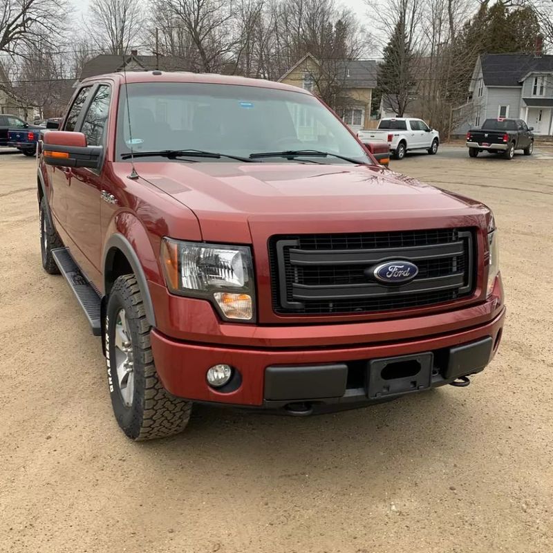 2014 Ford F-150 4WD SuperCrew 145" FX4 - 20664137 - 6
