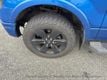 2014 Ford F-150 FX4 - 23022533 - 9