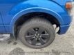 2014 Ford F-150 FX4 - 23022533 - 10