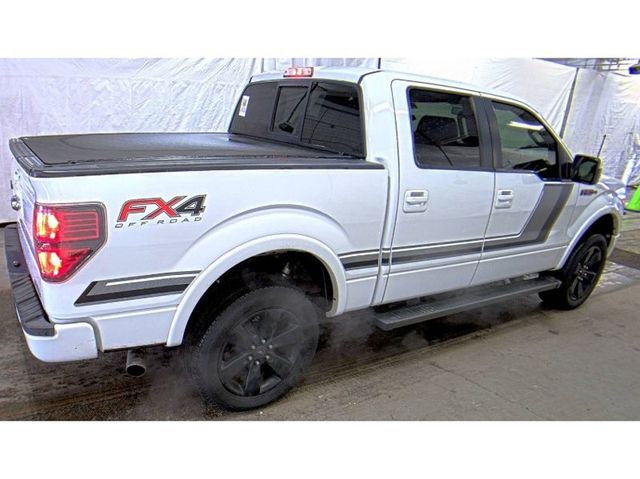 2014 Ford F-150 FX4 - 22995252 - 3