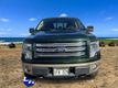 2014 Ford F-150 King Ranch - 22779479 - 9