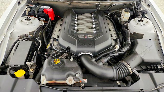 2014 Ford Mustang 2dr Coupe GT (manual transmission, 420-horsepower) - 22986318 - 23