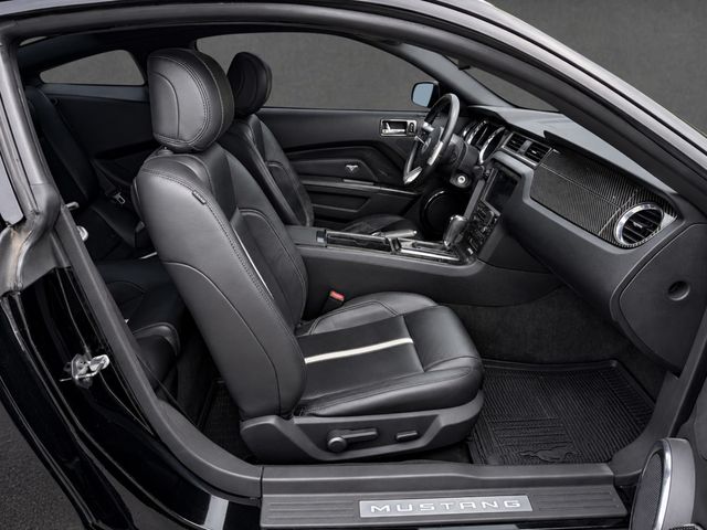 2014 Ford Mustang PREMIUM GT, GLASS ROOF, NAVI, ELECTRONICS PKG, HEATED SEATS - 23087237 - 10