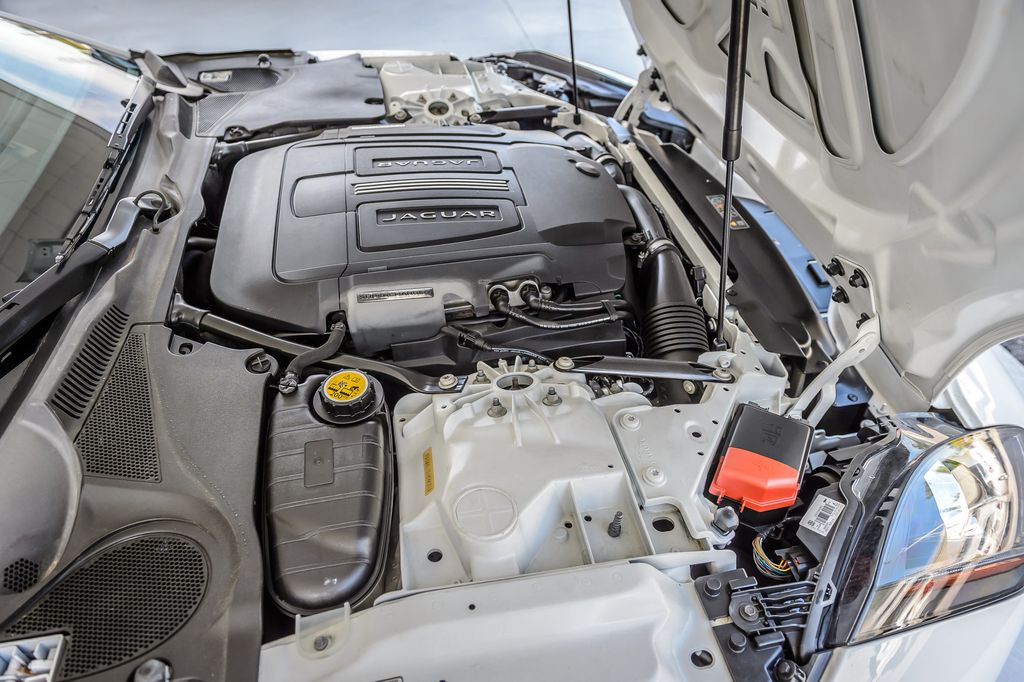 2014 Jaguar F-TYPE JAGUAR F TYPE CONVERTIBLE - GREAT MILES - GORGEOUS - MUST SEE - 23007535 - 24