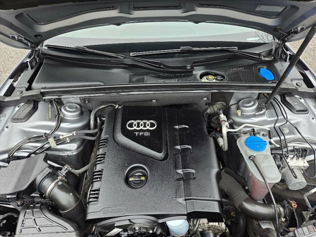 2015 Audi A5 Cabriolet 2dr Cabriolet Auto quattro 2.0T Premium - 22994696 - 10