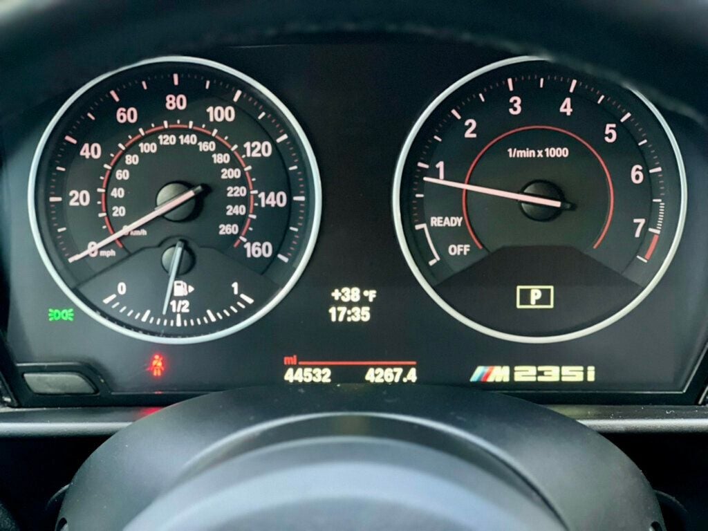 2015 BMW 2 Series M235i - 22976313 - 16