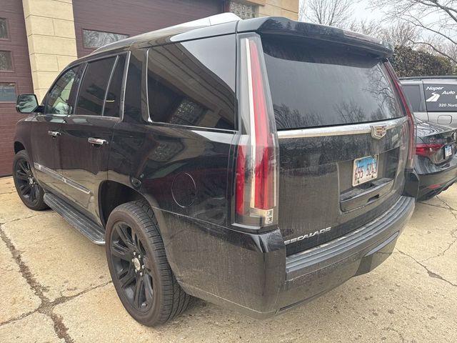 2015 Cadillac Escalade 4WD 4dr Luxury - 22997528 - 3