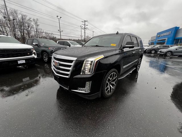 2015 Cadillac Escalade 4WD 4dr Luxury - 22970472 - 20