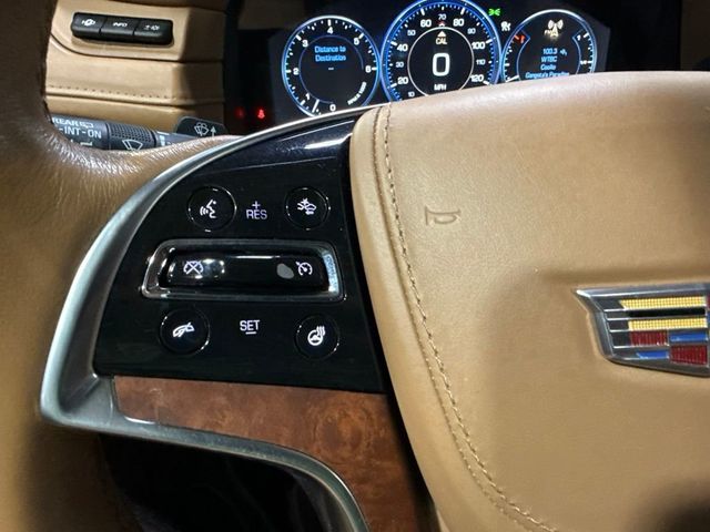 2015 Cadillac Escalade 4WD 4dr Platinum - 23057950 - 14