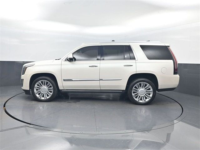 2015 Cadillac Escalade 4WD 4dr Platinum - 22980529 - 1